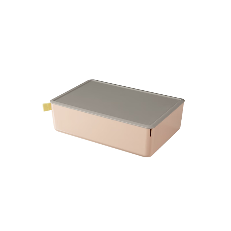 Deli [Volume 3.6L] Large Desktop Storage Box with Lid, Dust-Proof, Pen Holder, Stationery Organizer, Cosmetic Mini Box, Small Item Storage Container, XDM12 Pink