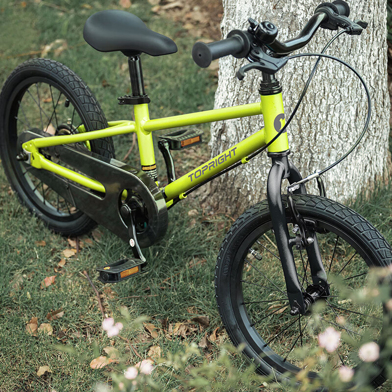TOPRIGHT Sold by JD Honeybird Children's Bicycle for Boys Aged 3-8, Baby Bike Pedal Bike 16-Inch Lime Gree
