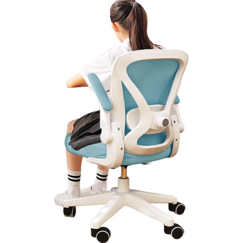 Quanpinwu Computer Chair, Study Chair, Office Chair, Ergonomic Chair, Student Chair, Lumbar Support Chair, Swivel Chair, Gaming Chair, Height Adjustable