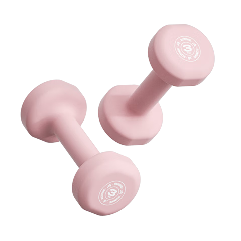 Langwei Dumbbell for Women Home Fitness Aerobics Beginners Arm Shaping Pure Iron Small Dumbbell [JINGDONG Exclusive]