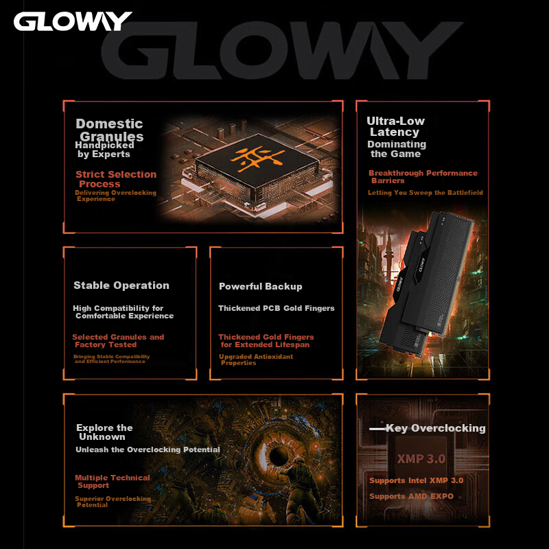Оперативная память Gloway DDR5 32GB (2x16GB) 6000MHz CL36 Longwu-Yue