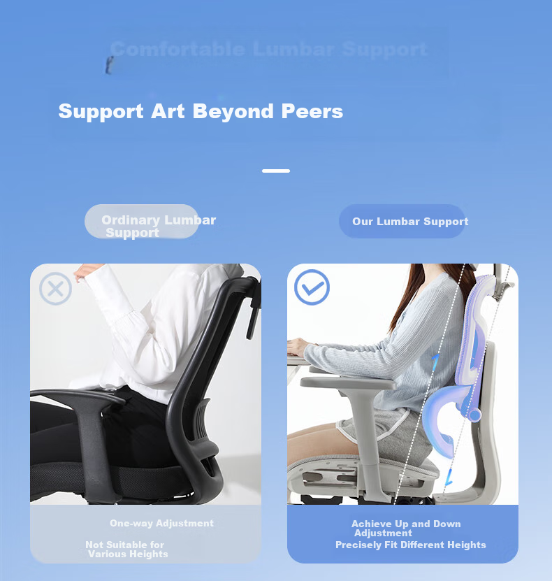 LIANFENG Ergonomic Office Chair for Home Use, Comfortable for Long Sitting, Reclining, Suitable for Students, Computer Work, Back Support, Gaming Chair 3