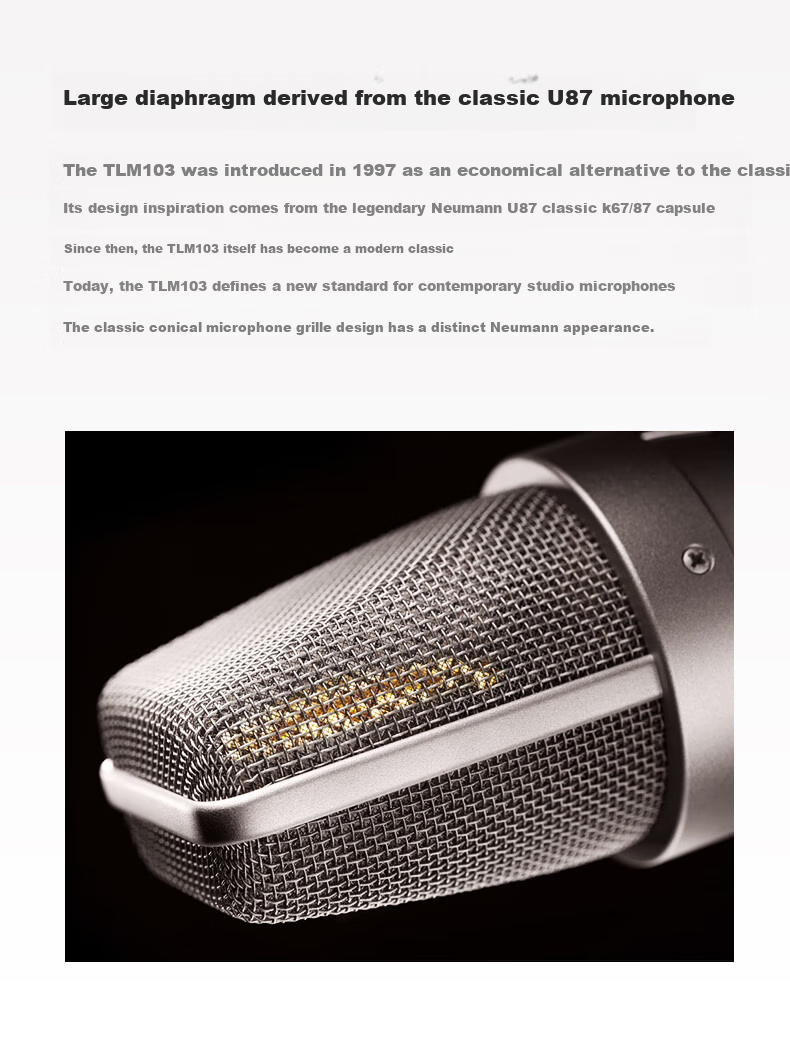 NEUMANN TLM103 Large Diaphragm Condenser Microphone, Imported from Germany, Professional Recording And Live Streaming Equipment, Cardioid Directional Pickup Pattern, Ultra-Low Noise 4