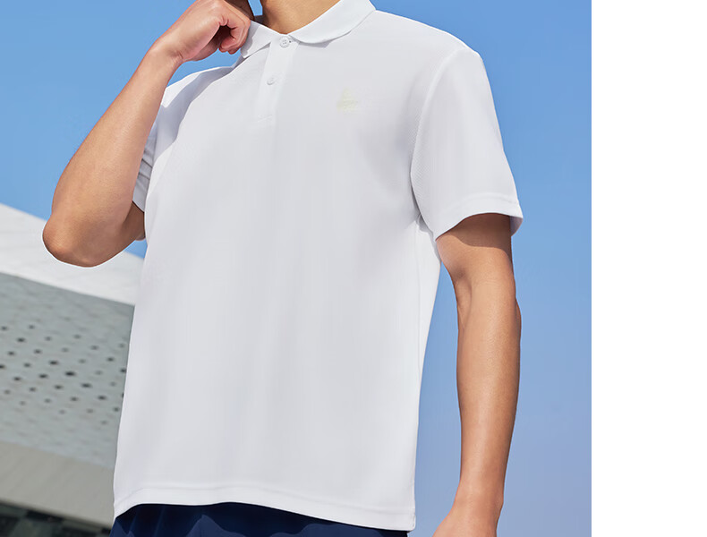 PEAK Polo Shirt for Men, Summer New Style, Sports Fitness Business Top, Breathable Casual T-Shirt, Loose Short Sleeve DF652241 17