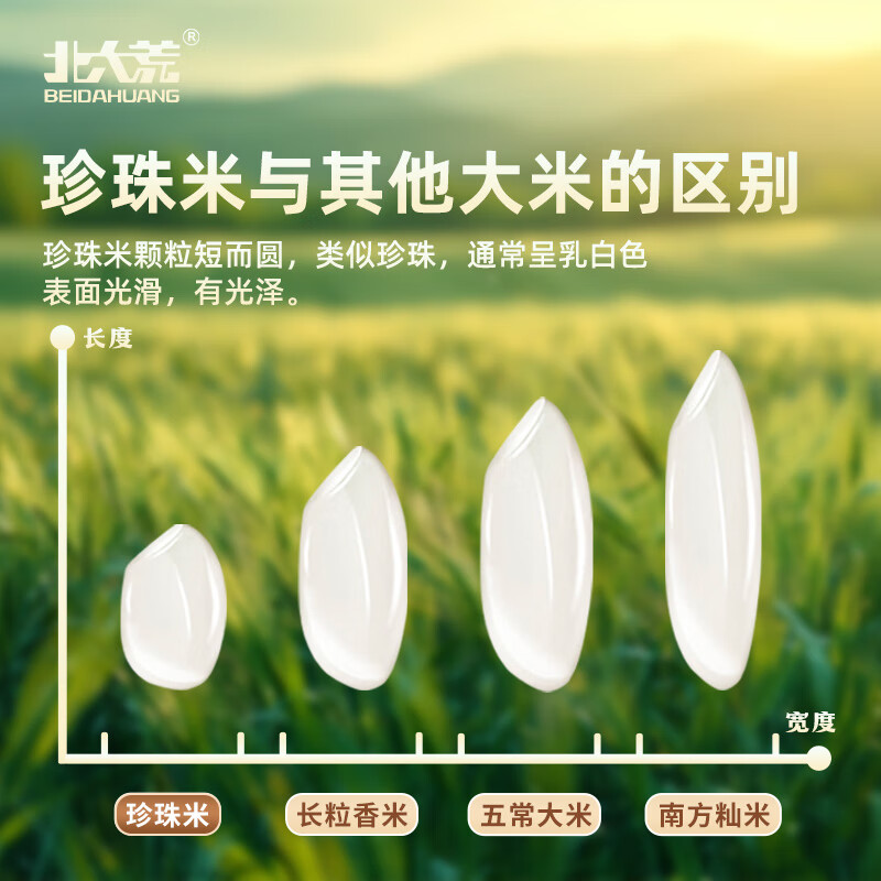 北大荒珍珠米10斤 东北大米5kg 圆粒粳米 粮油 当季新米 自营