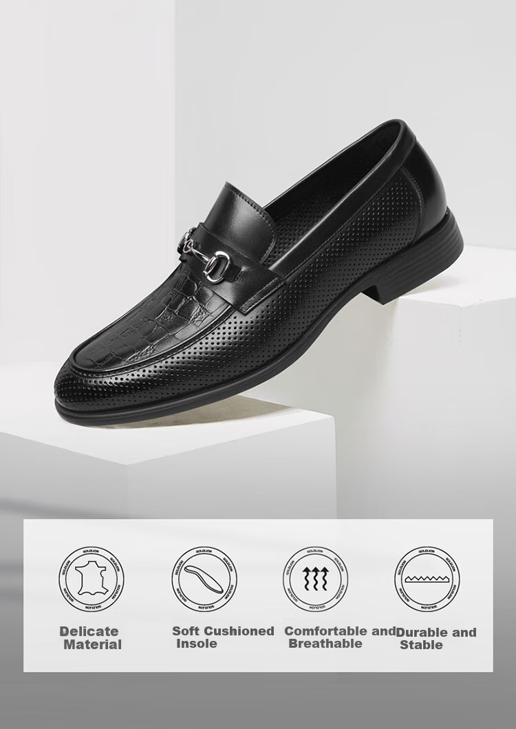 Goldlion Men's Shoes, Perforated Leather Shoes, Breathable Loafers, Fashionable Comfortable Business Casual Shoes, 58012018140A, Brown, Size 41 2