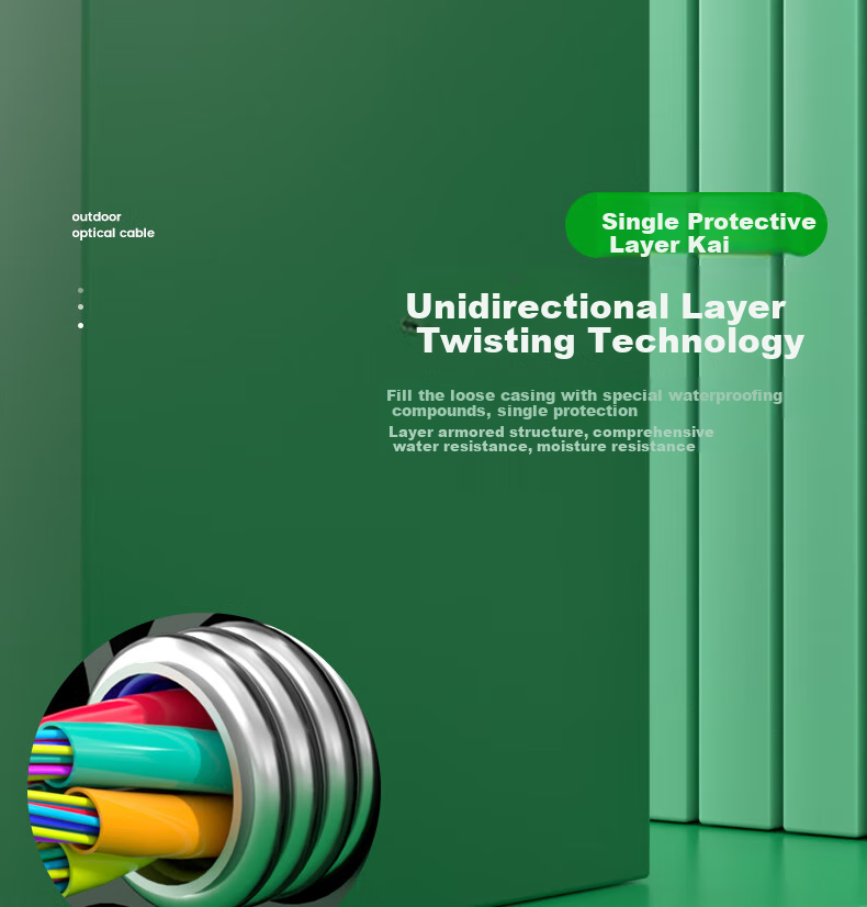 Hengpu GYTA Outdoor Optical Cable, Telecom-Grade National Standard Optical Cable, 24-Core Twisted Single-Mode Armored Outdoor Fiber Optic Cable, 1 Meter, HP-GYTA 8