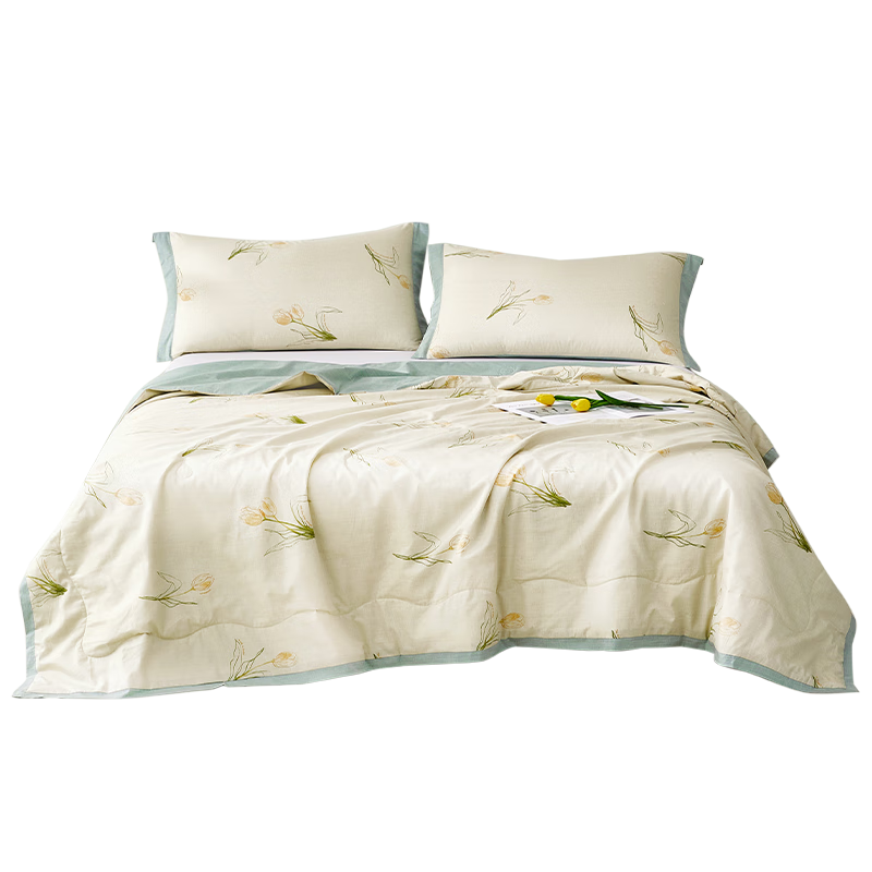LUOLAI Home Textiles Machine Washable 100% Silk Summer Quilt, All Cotton Class A Antibacterial Air Conditioning Quilt Summer Season 3.8 Jin 220*250