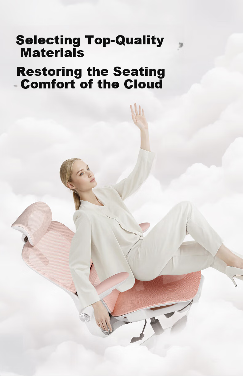 Hbada P2Pro Ergonomic Chair, Computer Chair, Ergonomic Seat, Office Study Gaming Chair, Desk Chair 17