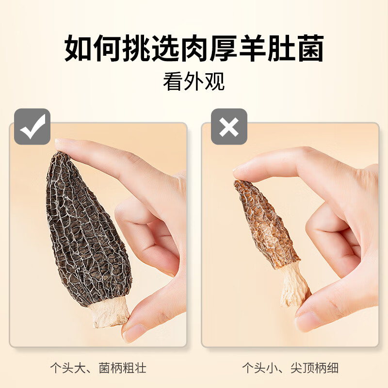 方家铺子 中华老字号 云南羊肚菌50g（5-7cm） 肉厚山珍菌菇 煲汤火锅食材