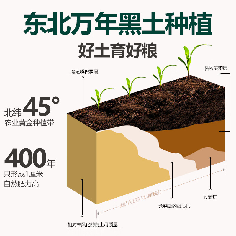 北纯 东北玉米芸豆大碴粥2.5斤/瓶（玉米碴芸豆杂粮笨粘大碴子粥）