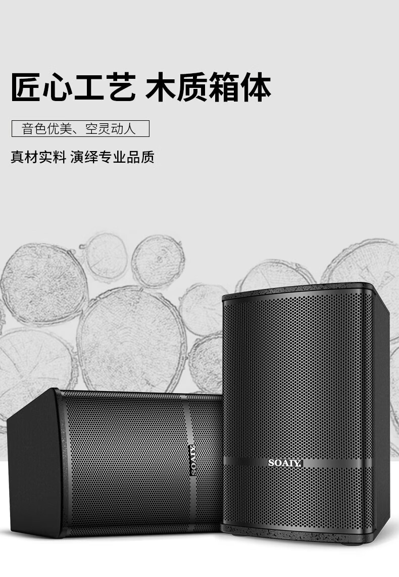 Soaiy Conference Room Audio System Set, 10-Inch Home KTV Background Training Dedicated Microphone Equipment System, Bluetooth Amplifier Wall-Mounted Speaker M39 3