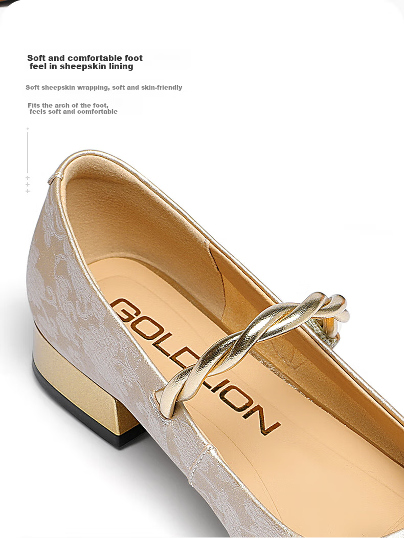 Goldlion Women's Shoes, New Chinese-Style National Fashion Flats, Chunky Heel, Color-Block Mary Jane Shoes, G686430283, Champagne Color, Size 37 6
