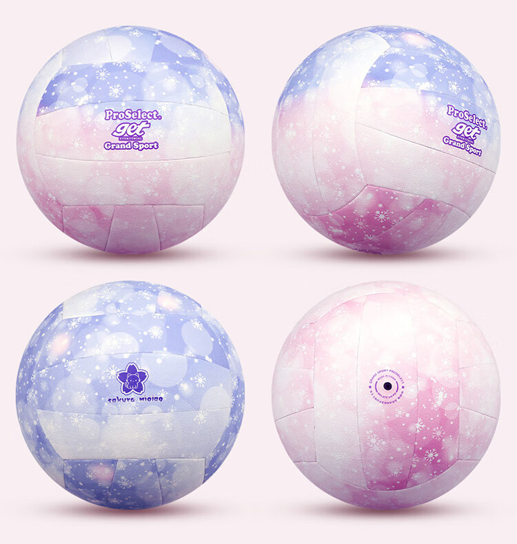 ProSelect Volleyball Standard Training Ball for Middle School And Adult Beach Volleyball, Size 5, GV467T 1