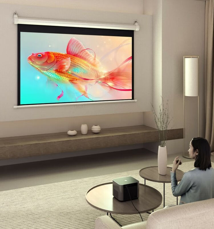 Ganyi HD Manual Self-Locking Projection Screen White Fiberglass C100 100-inch 16:9 for Home Office Education Hidden Ceiling Wall Mount Compatible with XGIMI, JmGO, Dangbei, Epson 12