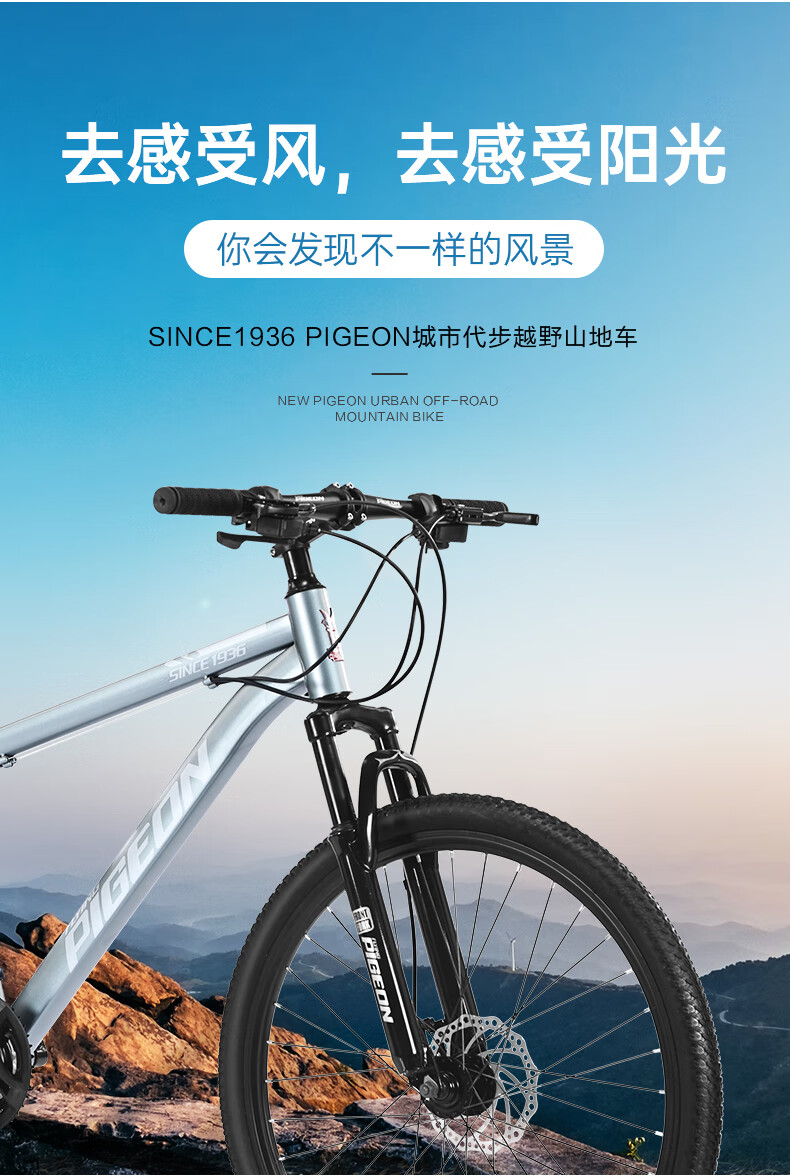 FG FLYING PIGEON Mountain Bike, 26-Inch Aluminum Alloy Frame, 27-Speed, for Men And Women, Adults, Students, Teenagers, Off-Road Bike, Black And Silver 2