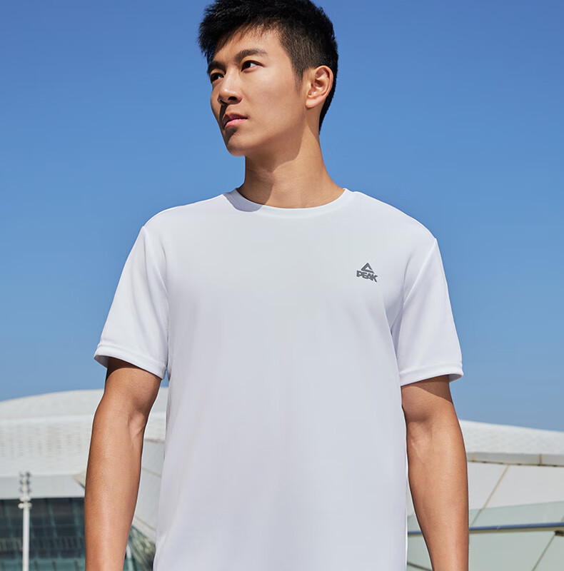 Peak Men's Summer Short Sleeve Quick-Dry Breathable Sports Loose Running Base T-Shirt DF652471 73