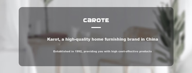 CaROTE Non-Stick Flat-Bottom Pancake Griddle for Home Use, Crepe Maker, Cake Pan, Banh Mi Maker, Egg Frying Pan for Breakfast, 24cm 1