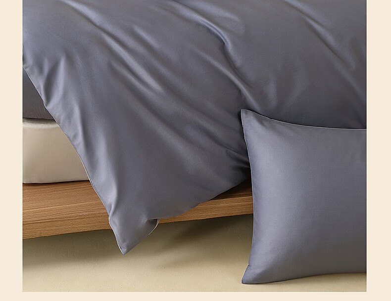 Shuixingjiafang Pillowcase, 100% Pure Cotton, Class A Pillow Cover, Set of Two, for Home And Dormitory Use, 48x74cm, Blue 10
