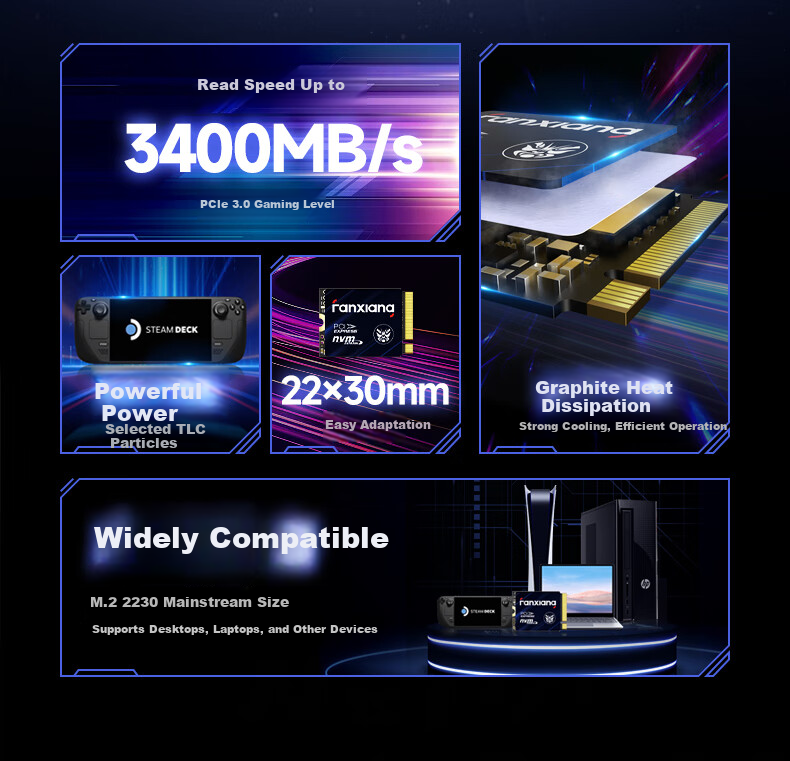 FANXIANG 1TB SSD Solid State Drive M.2 Interface NVMe Protocol PCIe 3.0 2230 Small Size Specification Computer Gaming Machine Expansion Hard Drive S532 2
