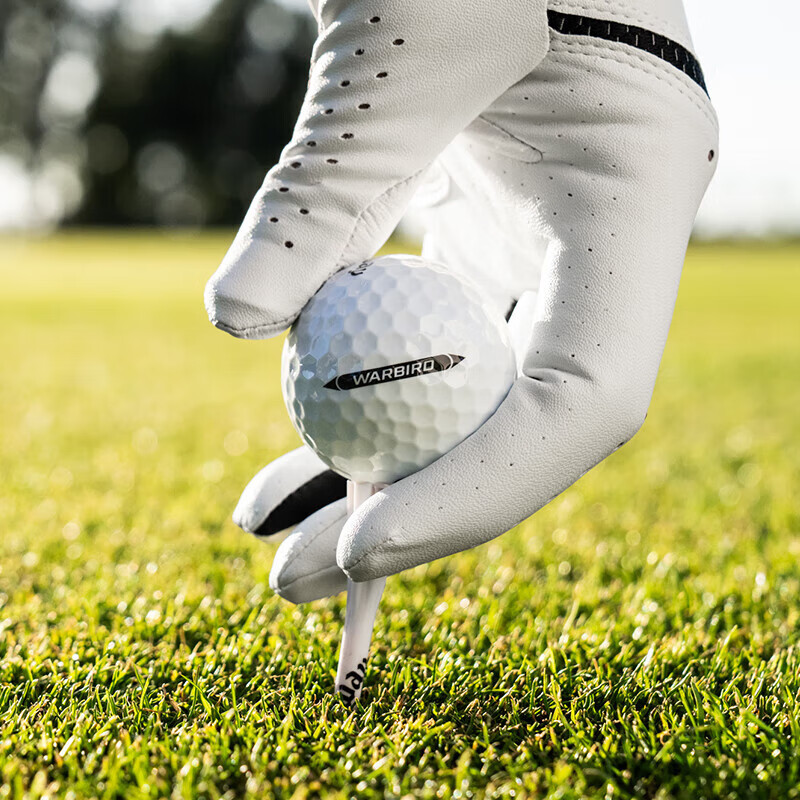 Callaway Golf Warbird Two-Piece Driver, Long-Distance Second Shot Club, New Model
