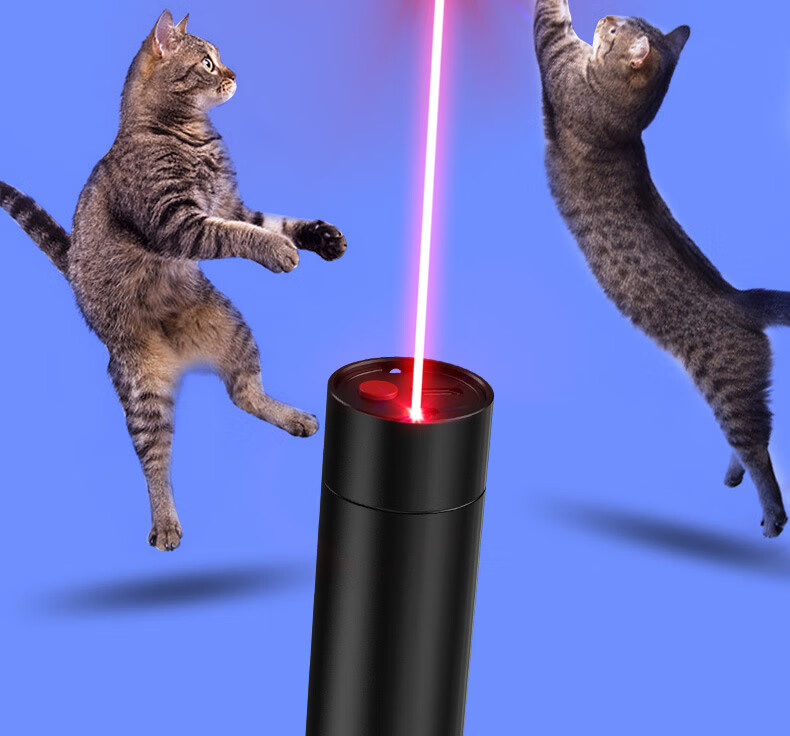 SHENYU 2-in-1 Cat Laser Pointer and Wood's Lamp UV365 Purple Light Cat Toy 12