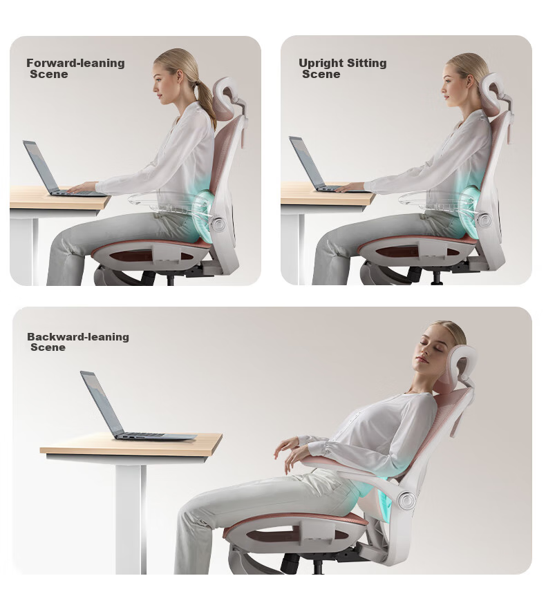 Hbada P2Pro Ergonomic Chair, Computer Chair, Ergonomic Seat, Office Study Gaming Chair, Desk Chair 7