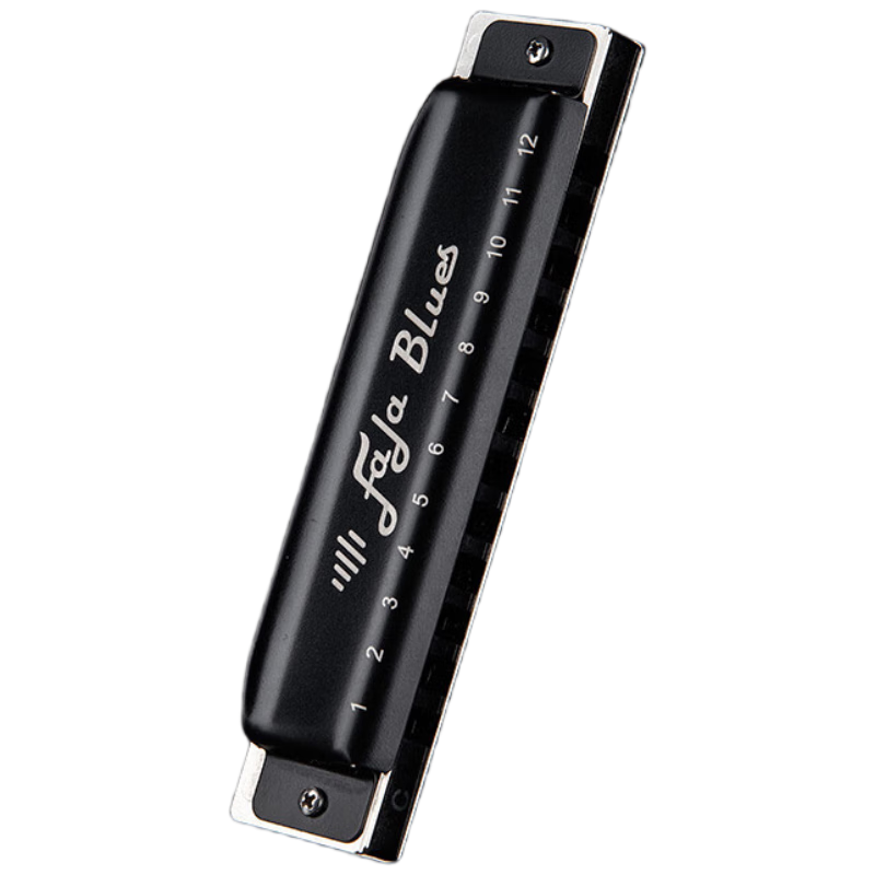 EASTTOP Blues 12-Hole FALA Harmonica Black F1201S