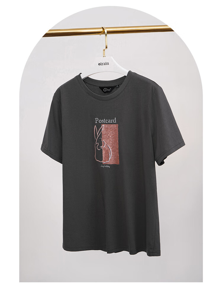 Olrain Women's Short Sleeve T-Shirt Summer New Loose Embroidered Crew Neck Top Dark Gray (New Batch) S 4