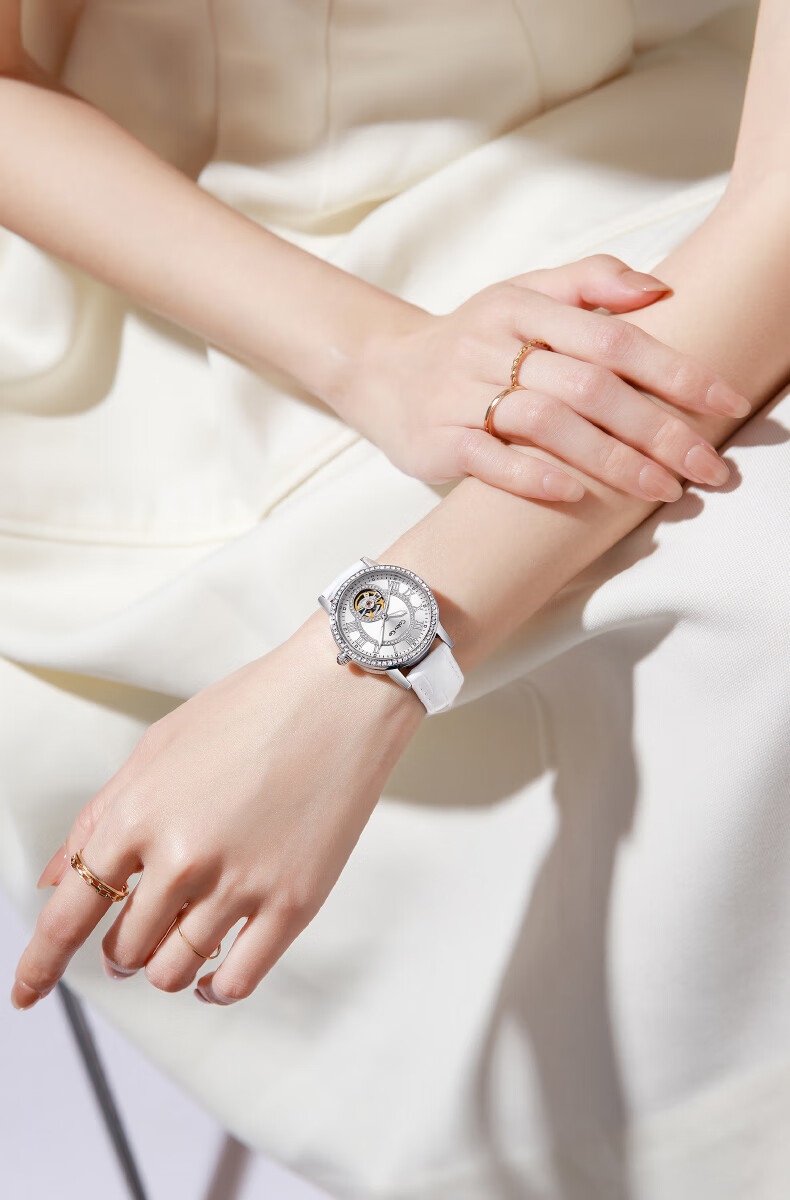 Colevkie Women's Mechanical Watch New Luxury Brand Top Ten Boutique High-End Birthday Gift for Women 3