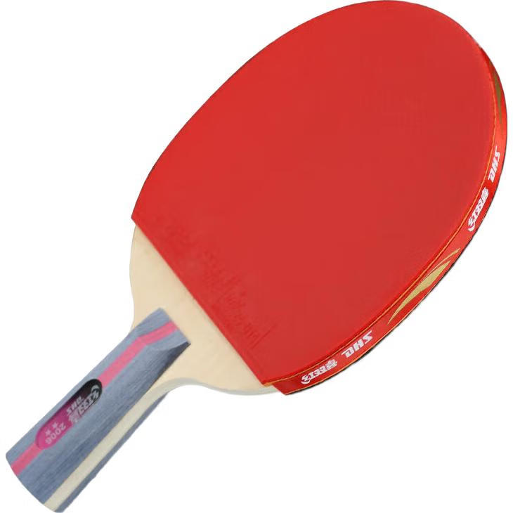 DHS Two-Star Straight Handle Table Tennis Racket (Beijing Warehouse Fast Delivery + 6 Balls + Racket Case), H2006 Straight Handle Double Racket