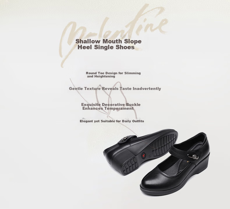 RED DRAGONFLY Mary Jane Shoes Women's Wedge Soft Leather Flats Casual Shoes for Women WTB142221 Black 35 2