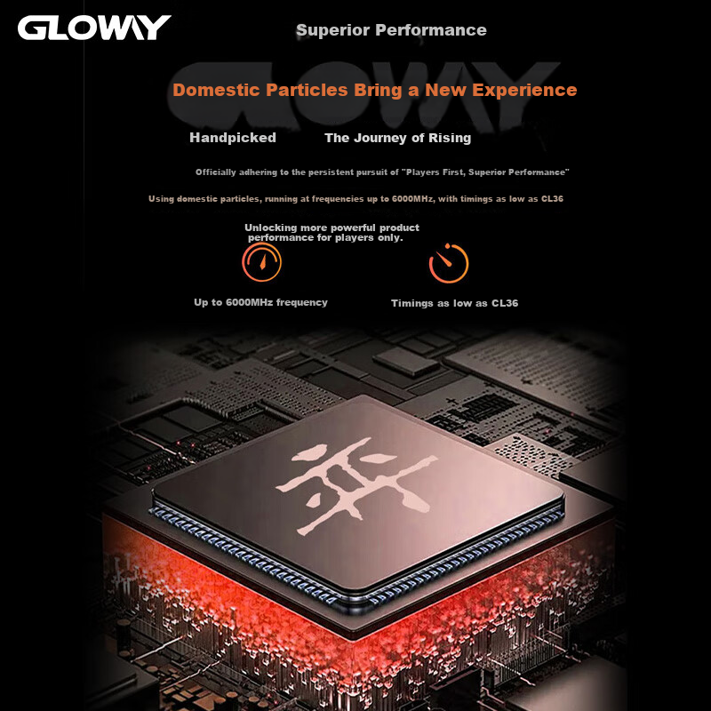 Оперативная память Gloway DDR5 32GB (2x16GB) 6000MHz CL36 Longwu-Yue