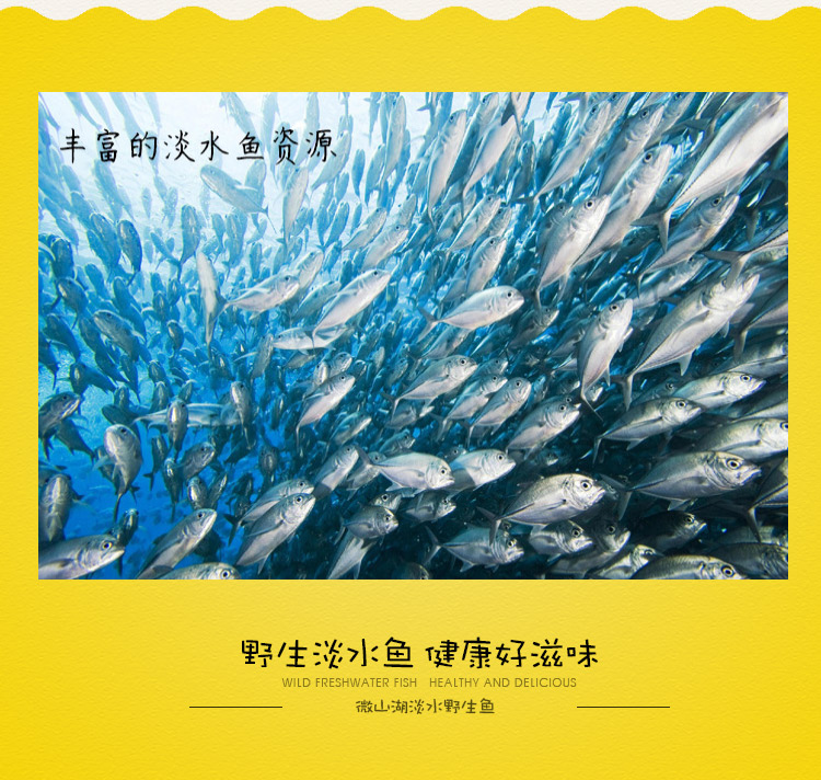 单品页_03.jpg
