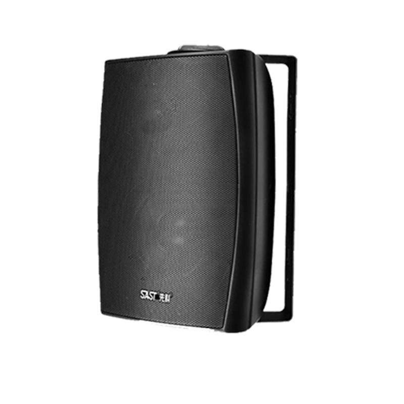 SAST D10 Wireless 8-Inch Wall-Mounted Speaker (Used with RR808 Transmitter)
