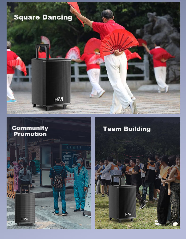 HiVi 12-Inch Stage-Level Outdoor Portable Smart Speaker, KTV Sound System, Square Dance Speaker, Bluetooth Trolley Speaker, Camping Dual Microphone MA12, Electric Guitar Musical Instrument Speaker 5