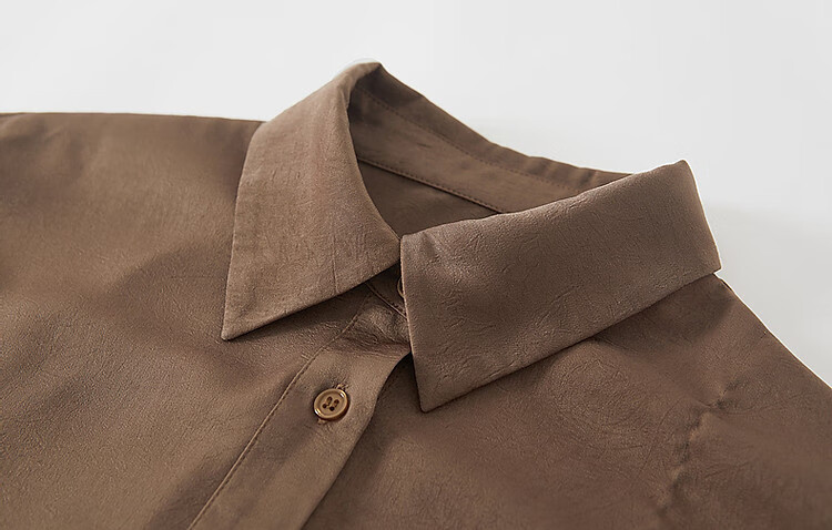 Dme [Four Seasons Wear] Spring Simple Style Commuter Shirt POLO Collar Wrinkled Shiny Texture Blouse Women's Top 12