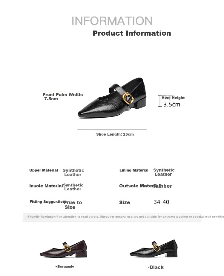 Josiny French Pointed Toe Single-Strap Mary Jane Shoes for Women, New Spring And Autumn 2026 Style Leather Shoes, Retro Chunky Heel Pumps, Black, Size 35 4