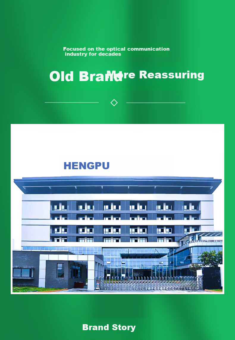 Hengpu GYTA Outdoor Optical Cable, Telecom-Grade National Standard Optical Cable, 24-Core Twisted Single-Mode Armored Outdoor Fiber Optic Cable, 1 Meter, HP-GYTA 14