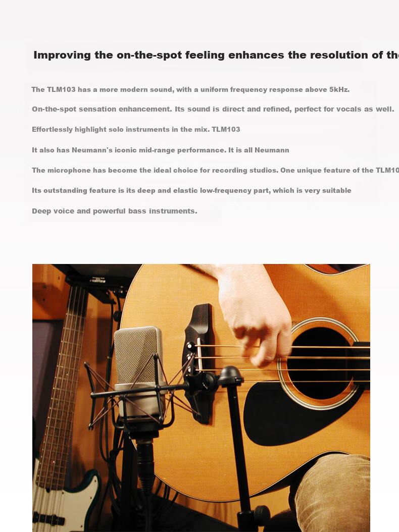 NEUMANN TLM103 Large Diaphragm Condenser Microphone, Imported from Germany, Professional Recording And Live Streaming Equipment, Cardioid Directional Pickup Pattern, Ultra-Low Noise 5