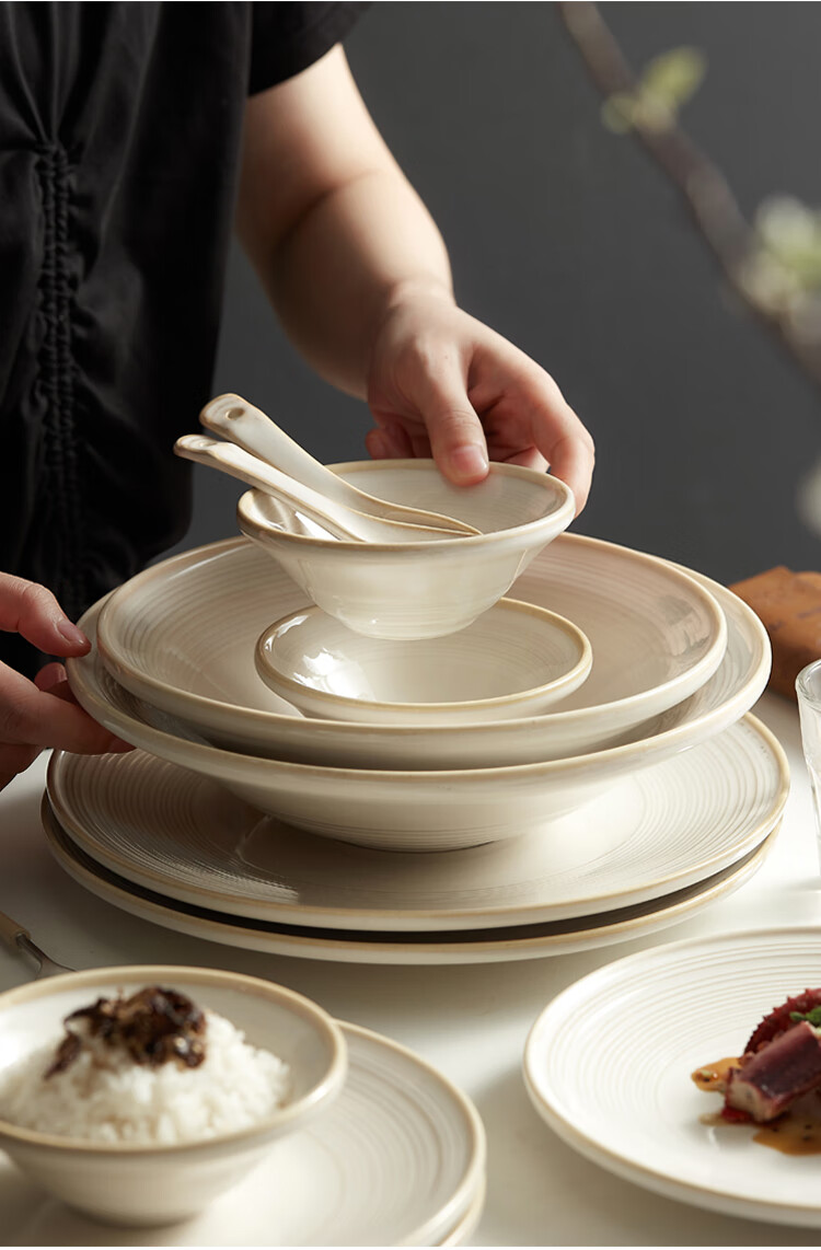 ZEROKY CLAN Ceramic Dinnerware Set for Home Use, High-End Tableware Including Bowls And Plates, Housewarming Gift, 17-Piece Set with Wire Pattern Design for 2 People 3