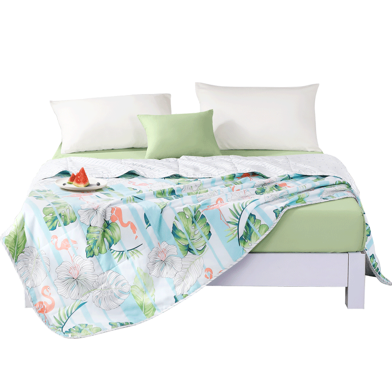 FUANNA Shengzhihua Summer Cooling Quilt Machine Washable Antibacterial Air Conditioning Quilt Single Summer Quilt 3 Jin 230x229cm