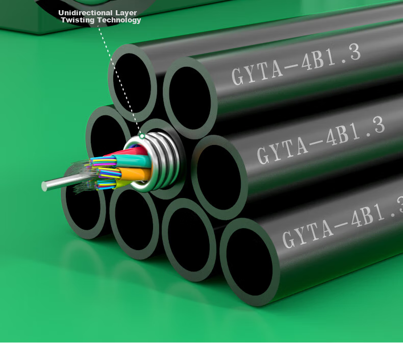 Hengpu GYTA Outdoor Optical Cable, Telecom-Grade National Standard Optical Cable, 24-Core Twisted Single-Mode Armored Outdoor Fiber Optic Cable, 1 Meter, HP-GYTA 9