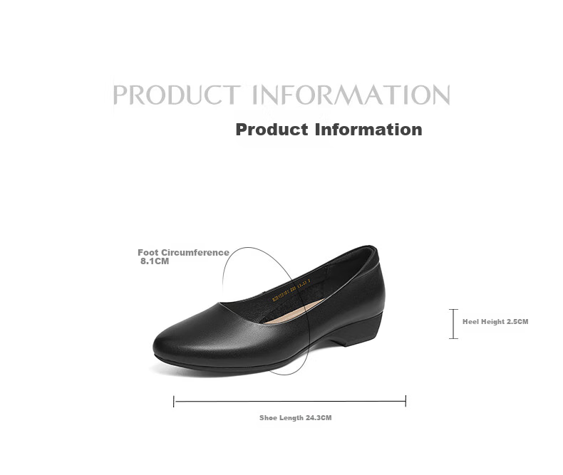 Red Dragonfly Women's Chunky Heel Leather Work Shoes Spring 2026 WJB26820 Black Size 36 2