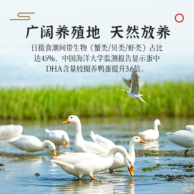 熊猫有礼咸鸭蛋北部湾海鸭蛋70g*20枚家庭装送礼即食红心爆油咸淡适中