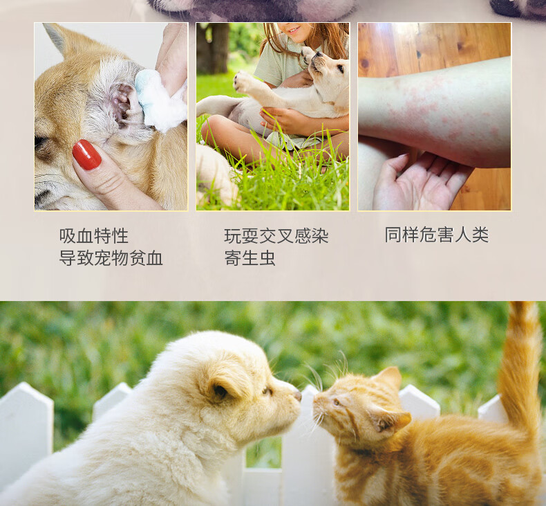项圈_03.jpg
