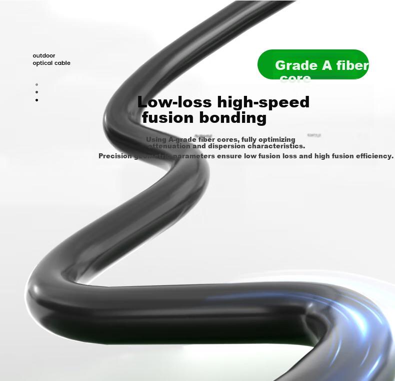 Hengpu GYTA Outdoor Optical Cable, Telecom-Grade National Standard Optical Cable, 24-Core Twisted Single-Mode Armored Outdoor Fiber Optic Cable, 1 Meter, HP-GYTA 4
