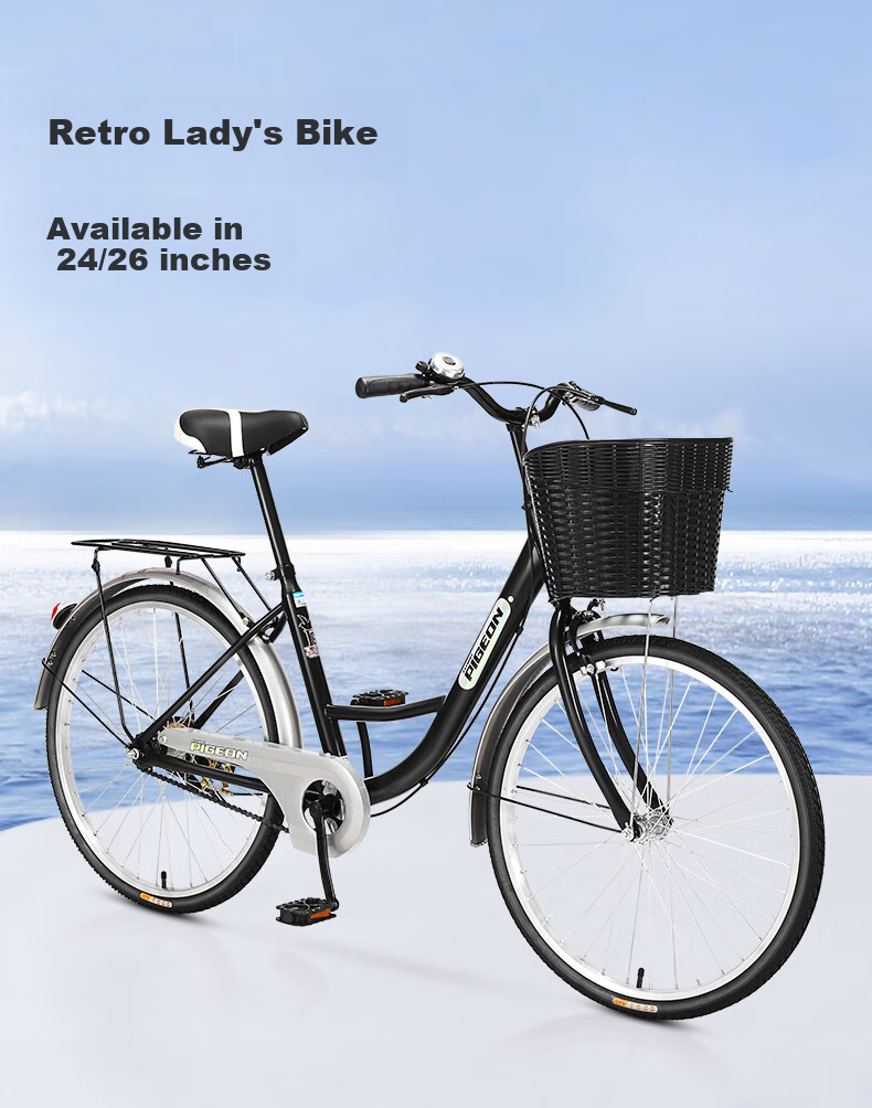 FG FLYING PIGEON City Bicycle, 24-Inch, Tubeless Solid Tire, Commuter Bike for Men And Women, Adults, Students, Children, Urban Retro Style 3
