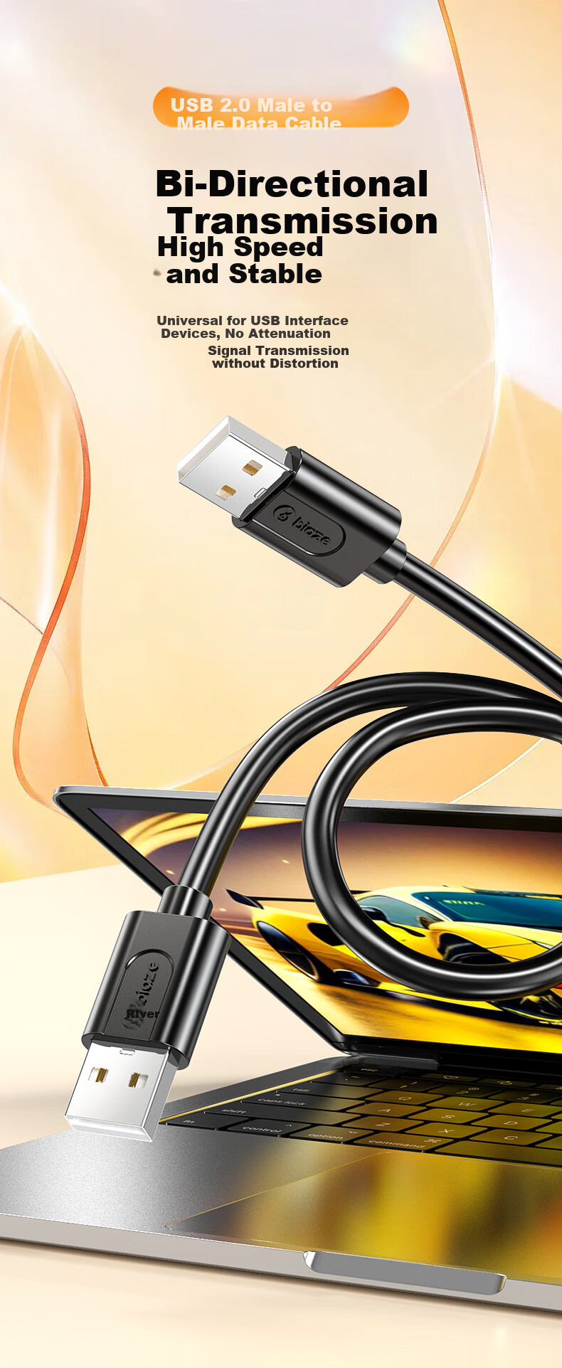 BIAZE High-Speed USB 2.0 Data Cable, Male to Male Double-Ended, High-Speed Transfer Cable for External Hard Drive Enclosures, Laptop Coolers And Set-Top Boxes, 2 Meters 2