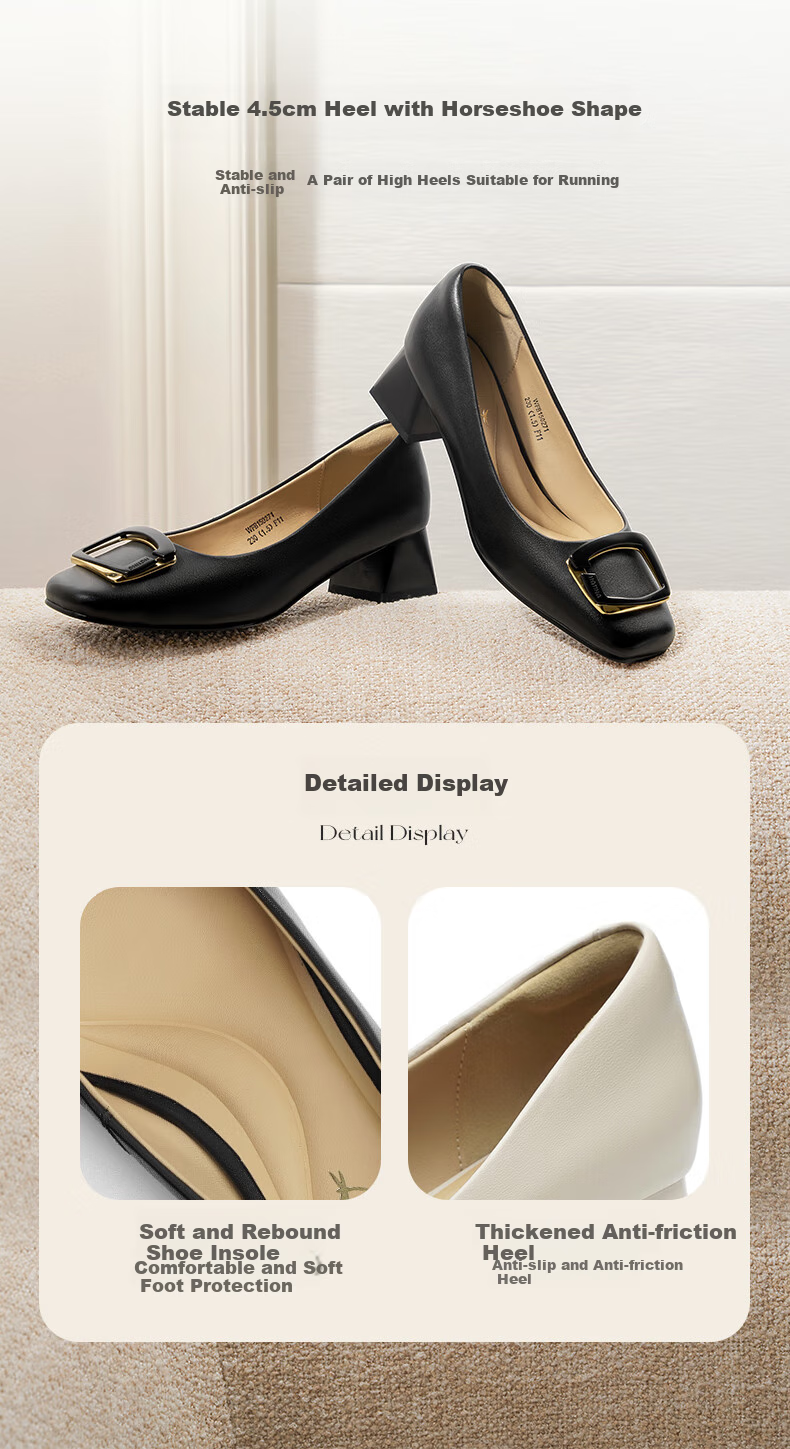 RED DRAGONFLY Chunky Heel Women's Shoes Spring Autumn Women's Shoes French Elegant High Heels Commuter Leather Shoes WFB15027 Black 35 2
